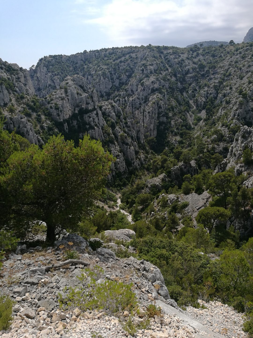 Hiking with kids: Calanques National Park - Our Swiss experience