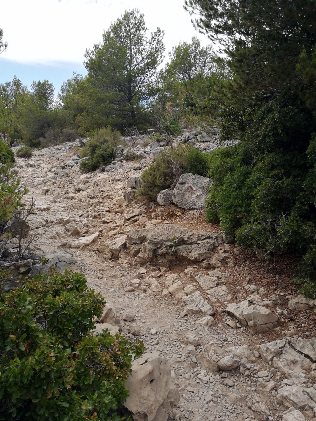 Hiking with kids: Calanques National Park - Our Swiss experience