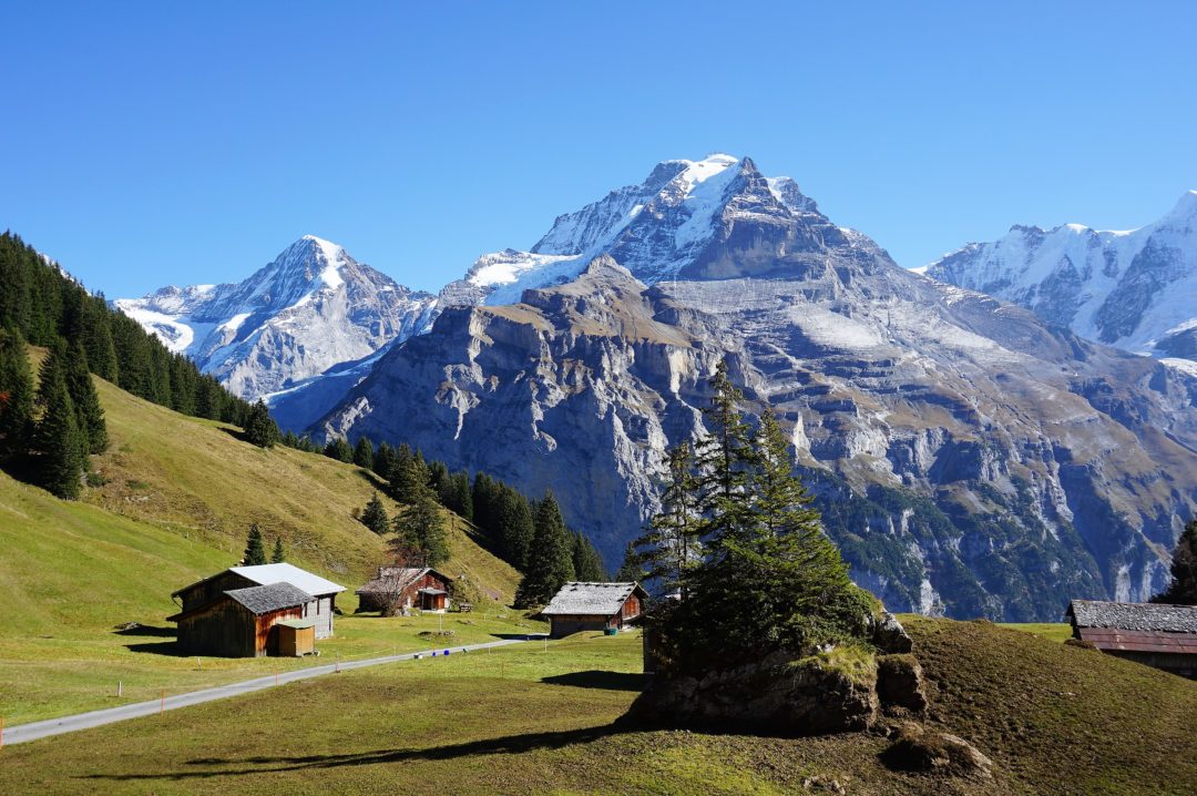 Allmendhubel Flower Park - an amazing children´s playground - Our Swiss ...