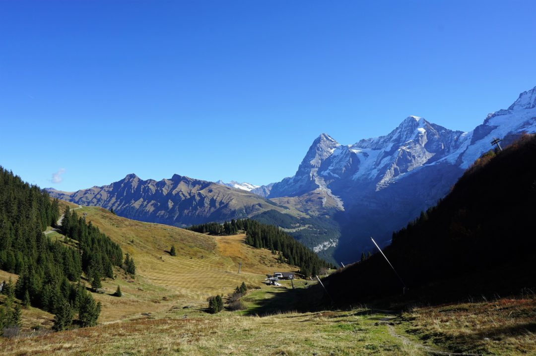 Allmendhubel Flower Park - an amazing children´s playground - Our Swiss ...