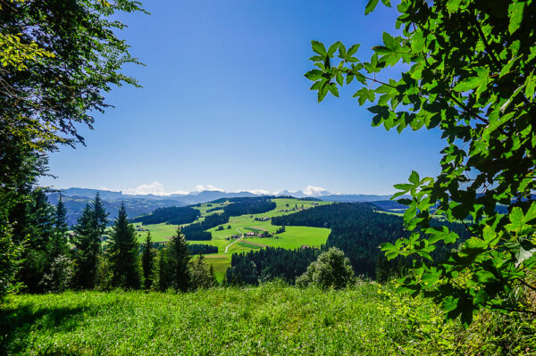 Hiking with kids in the Emmental: from Signau to Blaseflue and Moosegg ...