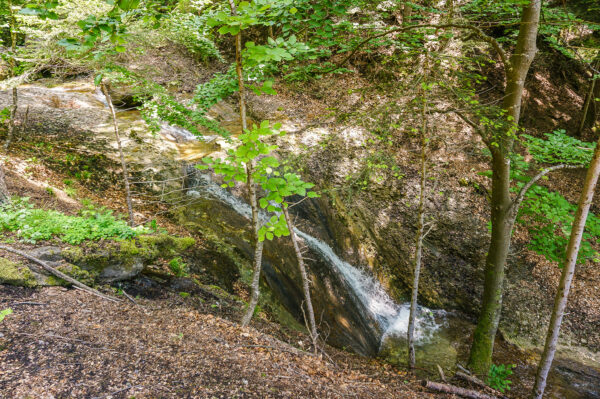 Hiking with kids: Rabeflue viewpoint above Thun and the Cholereschlucht ...