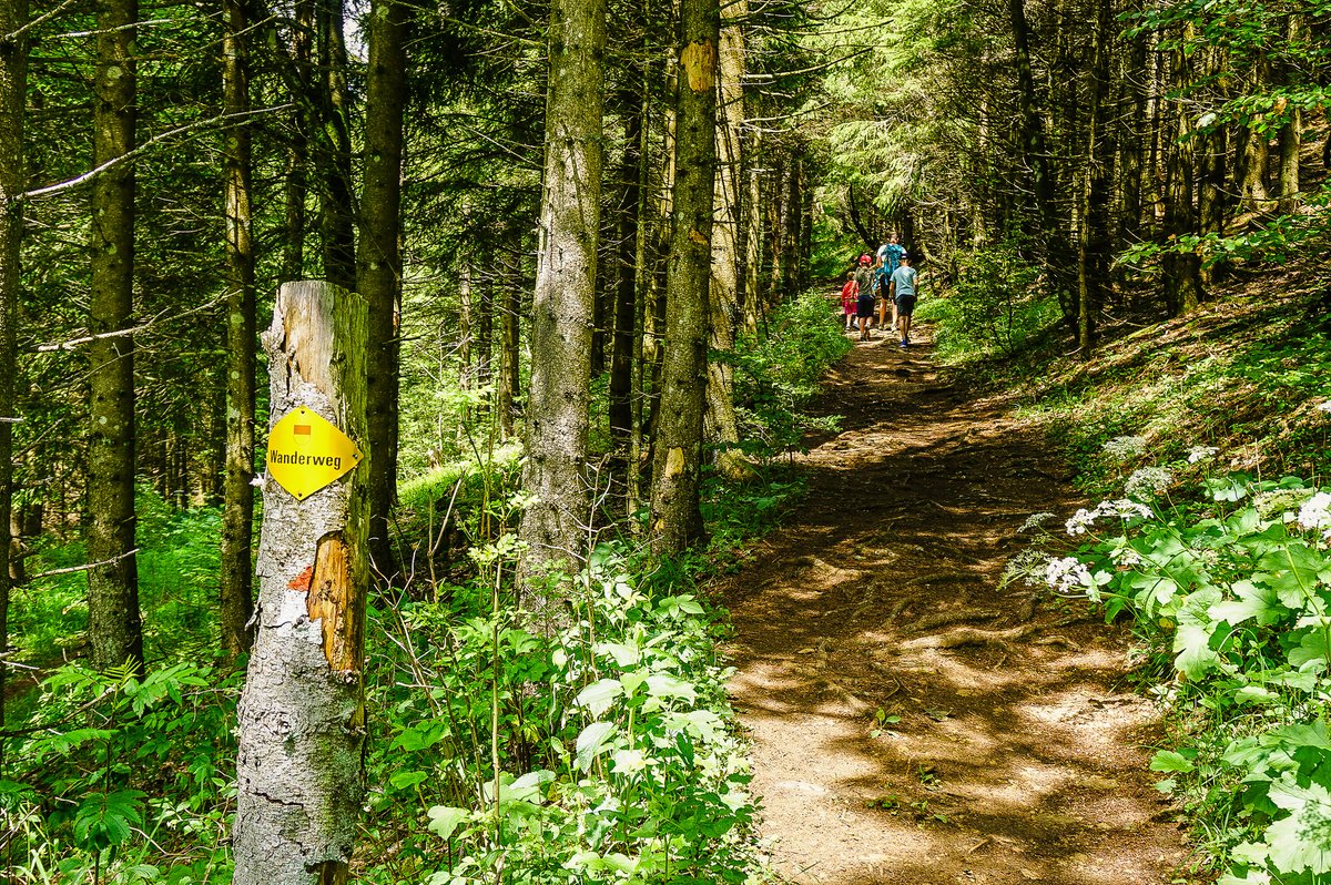 Hiking with kids: from Balmberg via Röti and Weissenstein and back ...