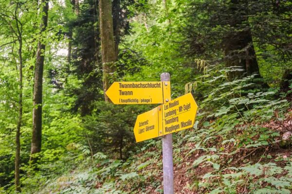 Hiking with kids through the Twannbach gorge - Our Swiss experience