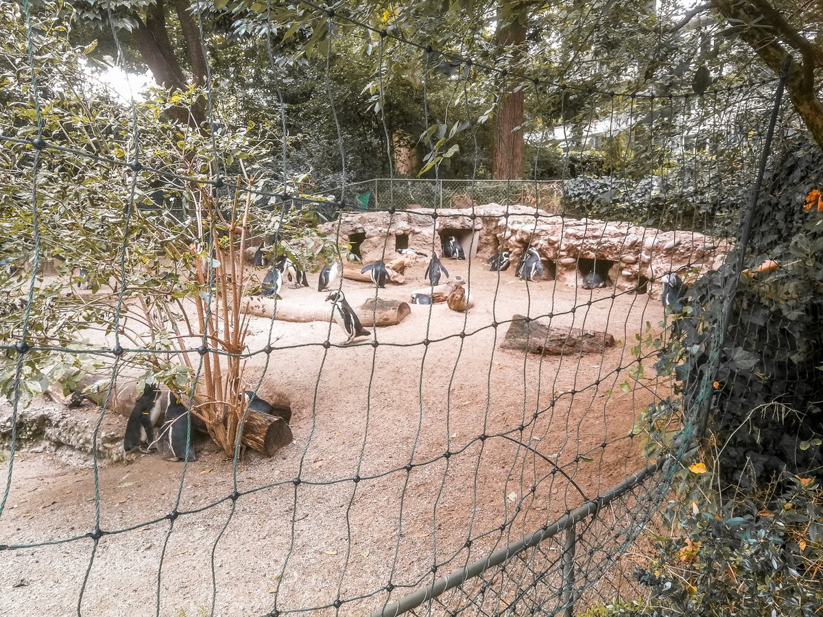 Besuch Im Zolli - ZOO In Basel Mit Kindern - Unsere Schweizer Erlebnisse