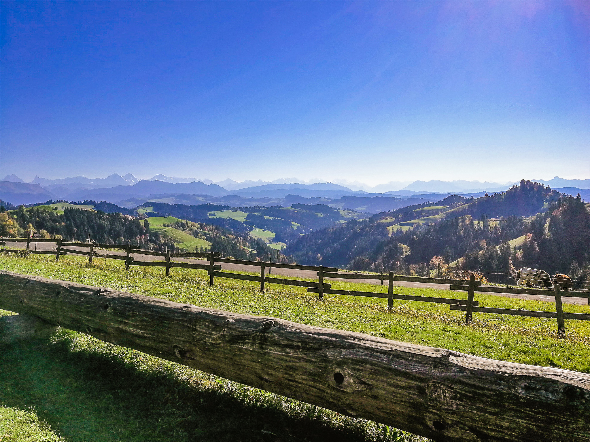 Emmental: 10 tips for great day trips (not only) for gourmets - Our Swiss  experience