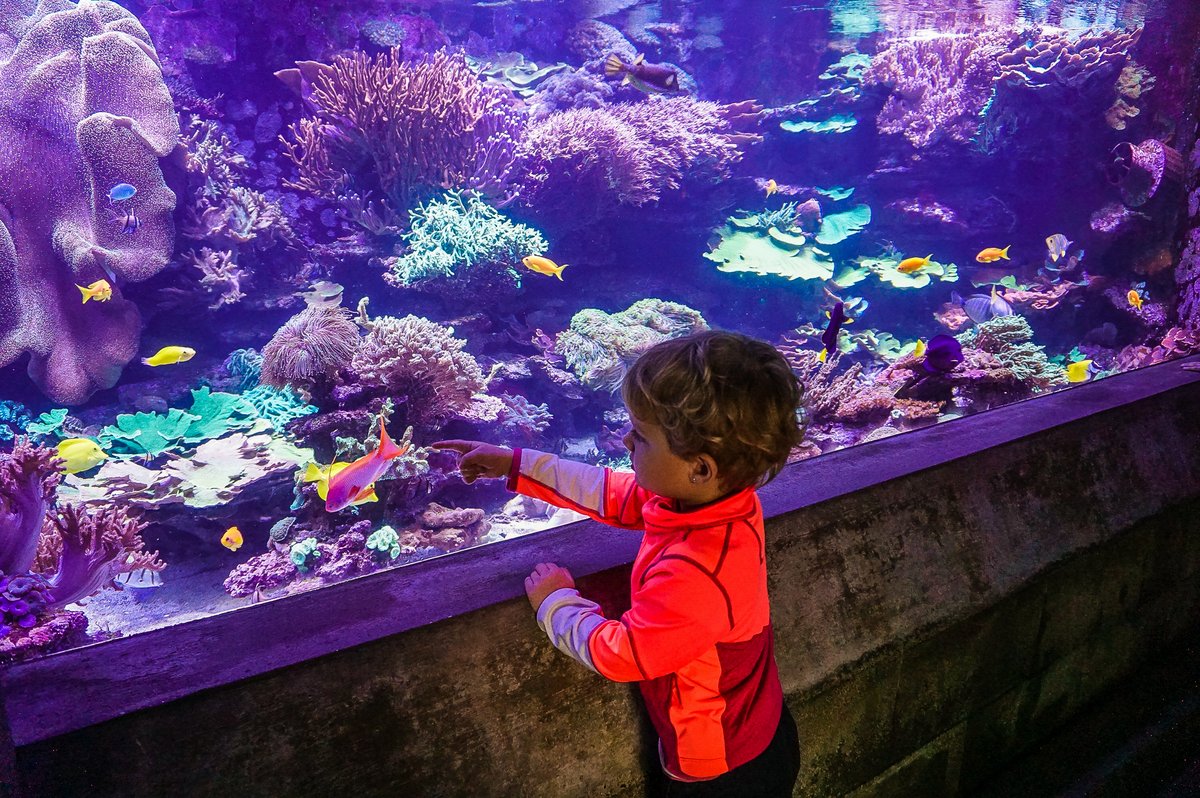 Visiting the Zoo in Bern (formerly known as Dählhölzli) - Our Swiss ...